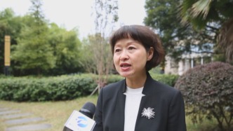 副廳級劉嵐，被逮捕
