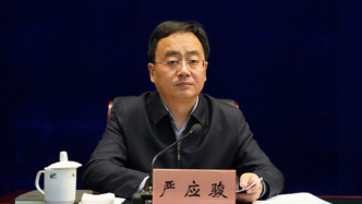 南京江寧區(qū)原區(qū)長嚴應(yīng)駿被查，曾被降為二級調(diào)研員