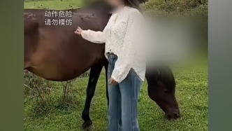 女子在景区摸马肚子，被马狠咬一口后破皮