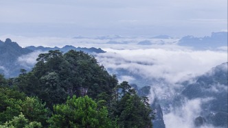 建筑空调系统专家、哈工大教师魏斌逝世，年仅54岁