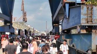 靜謐小島迎10萬(wàn)“二次元”玩家，復(fù)興島“原住民”怎么想？