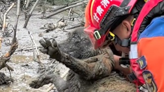 不放棄每一條生命！消防員從淤泥中救出被埋30多小時的“狗堅強(qiáng)” 