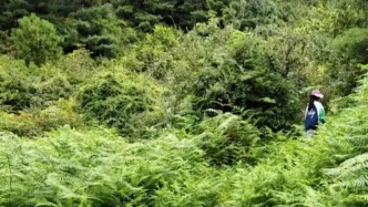 搜救为何这么难？大理苍山自闭症男童失联超48小时，多个疑问待解