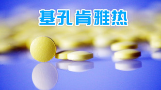 基孔肯雅熱會多次感染嗎？哪些群體風(fēng)險最大？世衛(wèi)組織答問