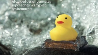 历史性突破：中央财经大学教师首次在《自然》杂志发文