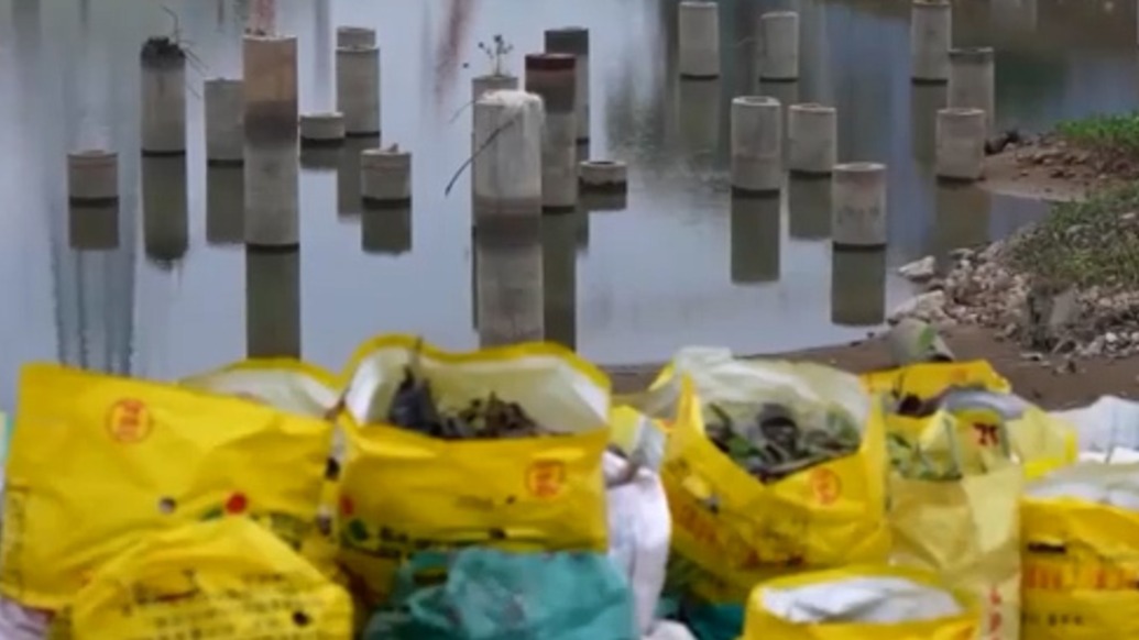 《人民日报》刊文，点名“三拍”干部