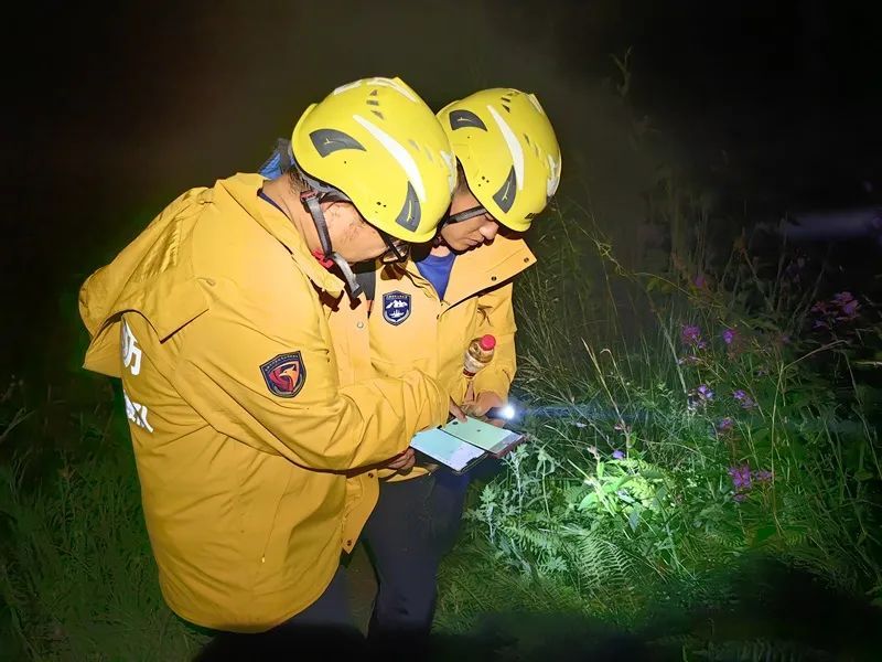 4名“驴友”苍山迷路被困：消防救援后移交民警处理