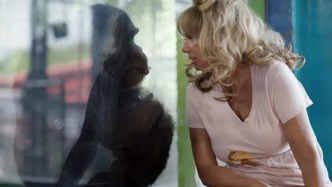 偷藏明星黑猩猩在地下室，紀(jì)錄片《黑猩猩熱》主人公被判入獄