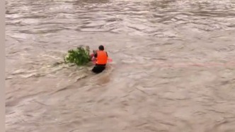 洪水中村民抱小樹求生，危急時刻村干部縱身一躍下水救人