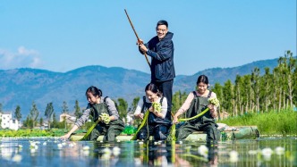 跨越山海為你而來(lái)！對(duì)口幫扶的“上海方案”是這樣煉成的