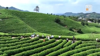 焦點(diǎn)訪談丨礦山變青山 看浙江余村的生態(tài)蝶變