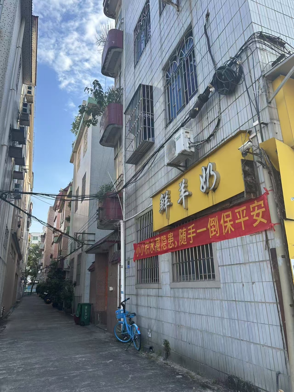 与蚊子的战役（下篇）｜他们经历的基孔肯雅热感染