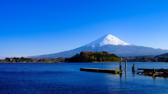 日本跨党派议员团体参拜靖国神社