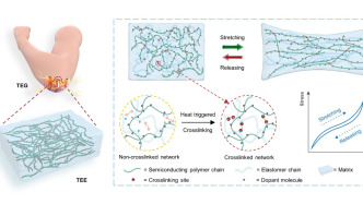 校史重大突破：青岛科技大学教师以第一作者在《自然》发文