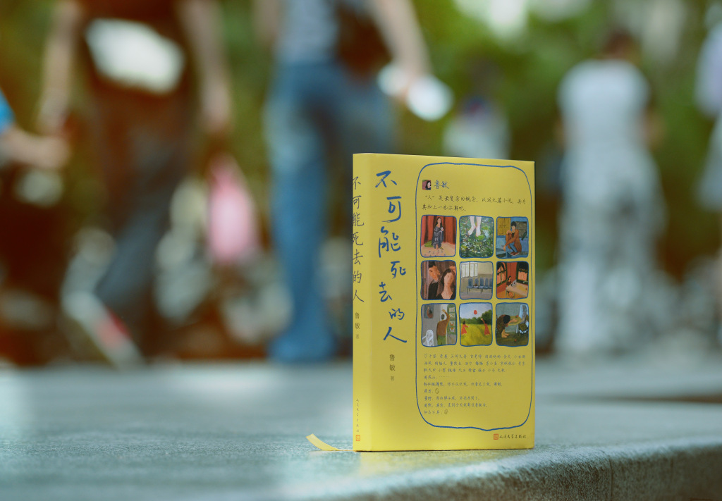 鲁敏《不可能死去的人》：写日常，但充满悬疑