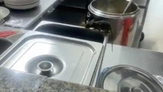 广东一学校食堂被曝有老鼠舔菜盆，市场监督管理局：责令学校整改