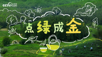 點綠成金