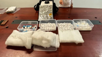男子在機(jī)場(chǎng)用馬桶沖走223枚鳥蛋，海關(guān)從下水道里救回