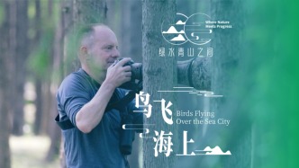鳥飛海上｜專注鳥類攝影十余年，這個德國人打造了一本《上海南匯鳥類圖集》