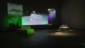 全國不到100人的冷門行業(yè)，這個湖南姑娘成了行業(yè)高手！