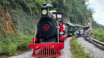 廣西河池一景區(qū)小火車脫軌？涉事景區(qū)：道閘口變形，項(xiàng)目暫停
