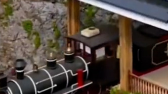 广西一景区小火车脱轨？涉事公司：道闸口轻微变形，退票并暂停观光列车项目