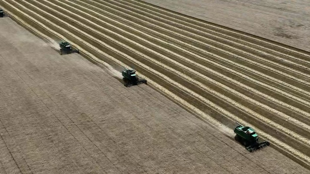 鋼鐵洪流一字排開，航拍北大荒大型聯(lián)合收割機(jī)搶收小麥