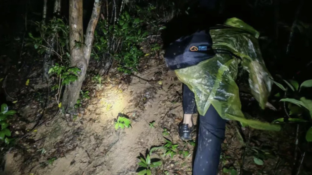 深圳開出全國首張罰單！兩人臺風(fēng)天擅自登山，每人罰五千元