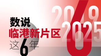 數(shù)說(shuō)｜臨港新片區(qū)這6年