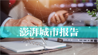 企業(yè)迎合與政策兩難：上?；萜笳呔?xì)治理的深層效應(yīng)