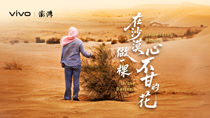 在沙漠,做一棵心不甘的花