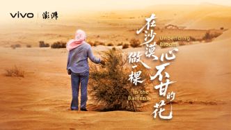 在沙漠，做一棵心不甘的花