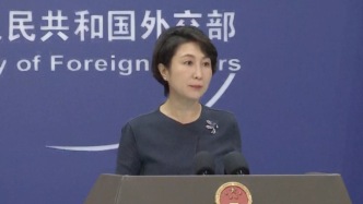中國解除了對印度稀土出口的限制？外交部回應