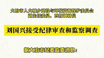 大冶市人大城乡建设与环境资源保护委员会副主任委员刘国兴被查