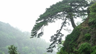 华中科技大学退休教授陈和平逝世，享年80岁