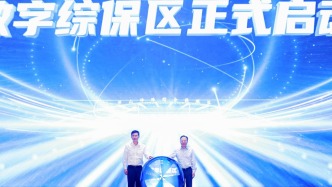 臨港新片區(qū)六周年發(fā)布“數(shù)字綜保區(qū)”，海關(guān)：持續(xù)推動制度供給