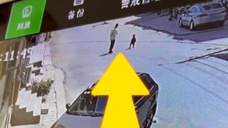 幼童獨(dú)闖馬路，陌生大哥烈日下守護(hù)婉拒謝禮