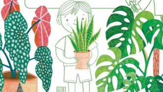 童書湃｜了解新奇、有趣的科普知識，看看這些書