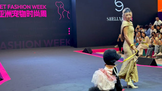 陪伴机器狗、萌宠T台秀……第27届亚洲宠物展在沪开幕