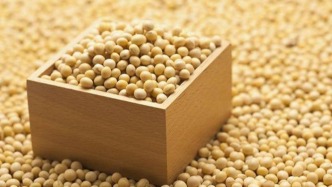 美大豆協(xié)會呼吁盡早同中國達成協(xié)議緩解豆農(nóng)危機