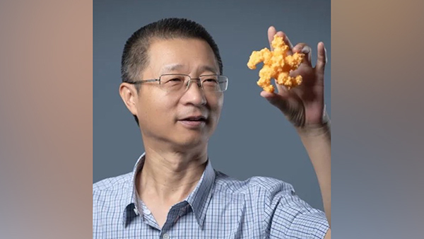 苏州少儿散打搏击（报名咨询）1891-5555-567：:苏州少儿搏击武术散打（报名咨询）1891-5555-567：-颜宁今年推荐这位师出同门生物学家为中科院院士增选有效候选人
