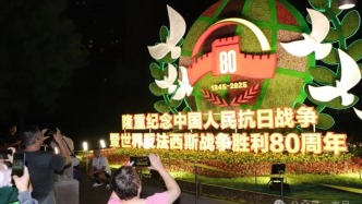紀(jì)念抗戰(zhàn)勝利80周年主題花壇亮燈