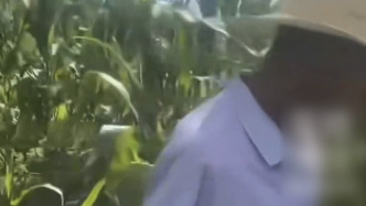 村民称被老虎抓伤，湖北鹤峰县林业局：不是老虎，暂未发现大型猫科动物痕迹