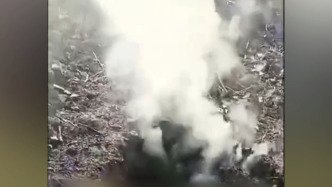 湖北阳新县辟谣“农田洞口莫名冒烟半个月”：系村民烧秸秆所致