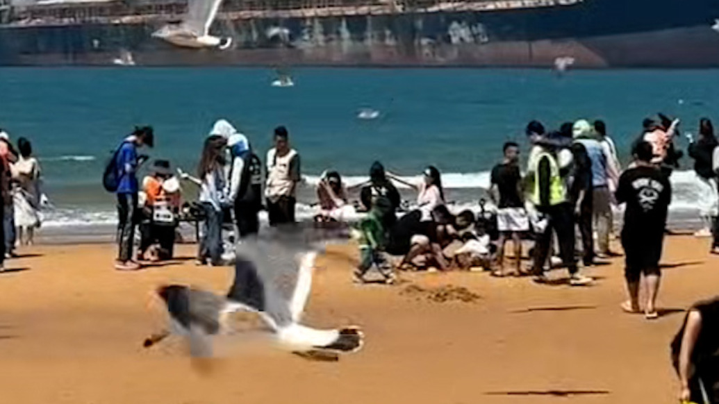 攝影師沙灘霸地盤稱10萬元買地，鎮(zhèn)政府：無私人承包