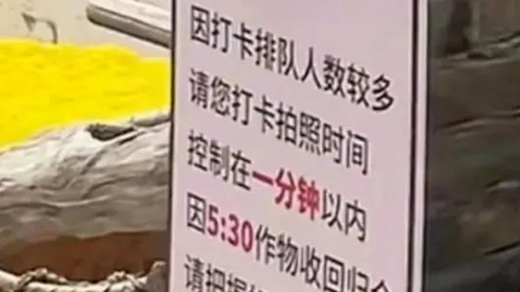 江西婺源一景區(qū)推出限時(shí)1分鐘拍照，網(wǎng)友：建議全國推廣