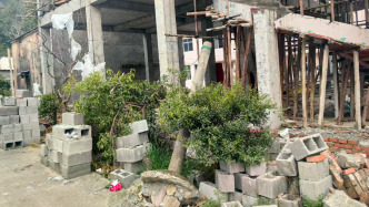 臺(tái)州一包工頭砍掉雇主鄰居所種樹被刑拘，官方：涉嫌損壞財(cái)物罪