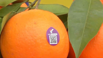 10類產(chǎn)品將推行“一碼溯源”，覆蓋拼多多、京東等10家電商平臺