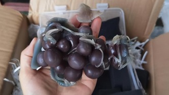 3万元保价玉雕顺丰运输时断裂，双方拉锯后达成1.5万元赔偿