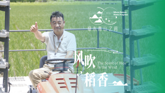 風(fēng)吹稻香 | 日本“農(nóng)夫”在崇明，種出國際金獎(jiǎng)大米